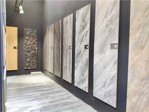 天葉木業俞豐平 3d新品首亮相 精裝飾面新選擇