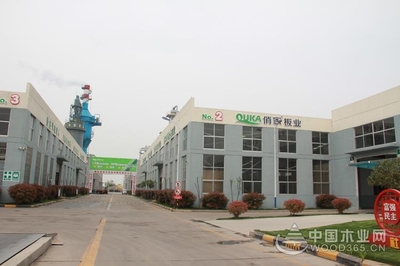 【匠心萬里行】山東俏家:高起點開局 高質量發展