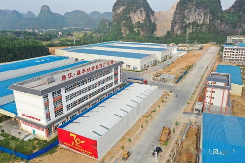 轉發 山呼海應 攜手小康 融水特色扶貧產品熱銷廉江紅橙節