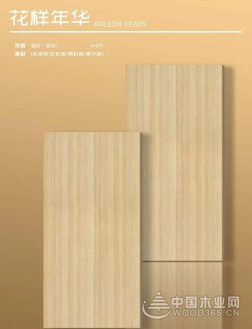 品牌全面升級 沃森川榮膺 家具板十大品牌 榮譽