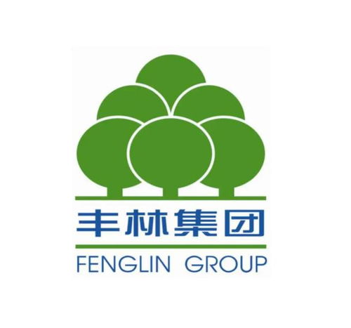 廣西豐林木業(yè)集團(tuán)股份
