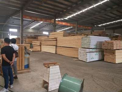 安徽紅雪松工廠 上海熙享木業(yè)